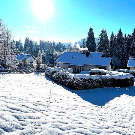 Michels Apartment Titisee-Neustadt Buitenkant foto