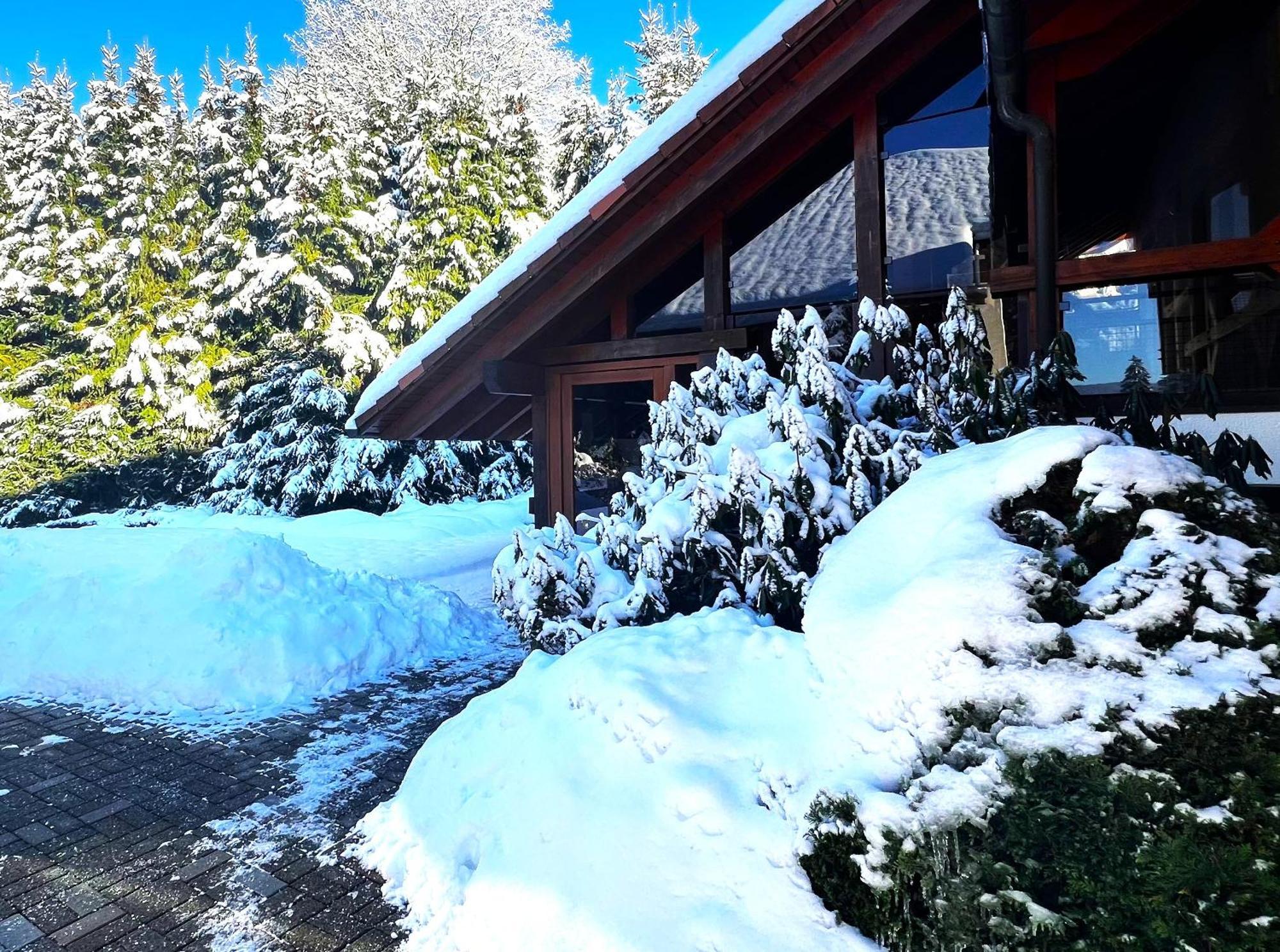 Michels Apartment Titisee-Neustadt Buitenkant foto